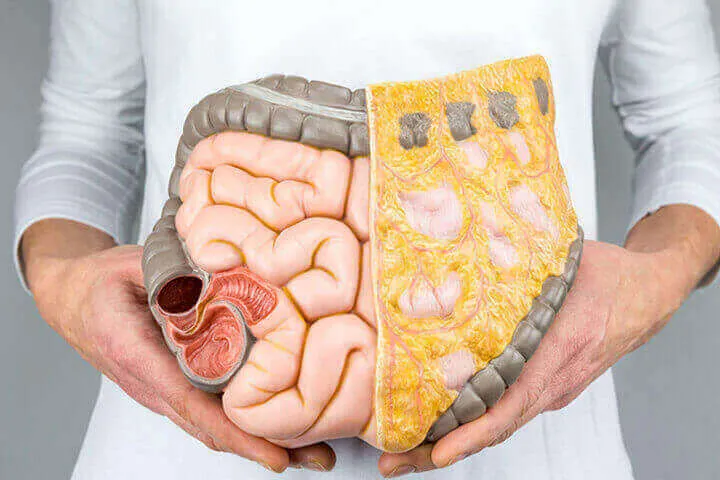 8 Yıl Süren Gizli Tehdit: Antibiyotikler Bağırsak Florasını Kalıcı Olarak Değiştiriyor