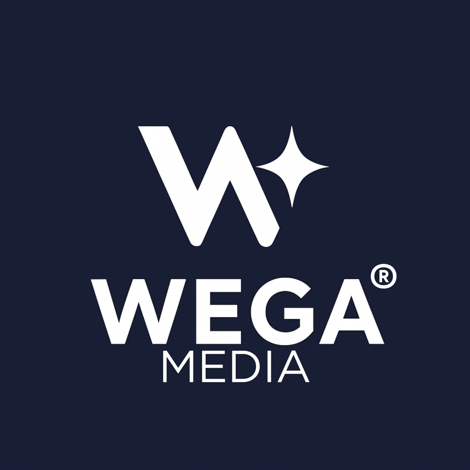 WEGA MEDIA, TIKTOK LIVE PARTNER AJANSI OLARAK DIJITAL YAYINCILIGA YENI BIR SOLUK GETIRIYOR