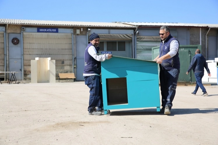 Eskişehir Büyükşehir'den hayvan bakımevi hazırlığı