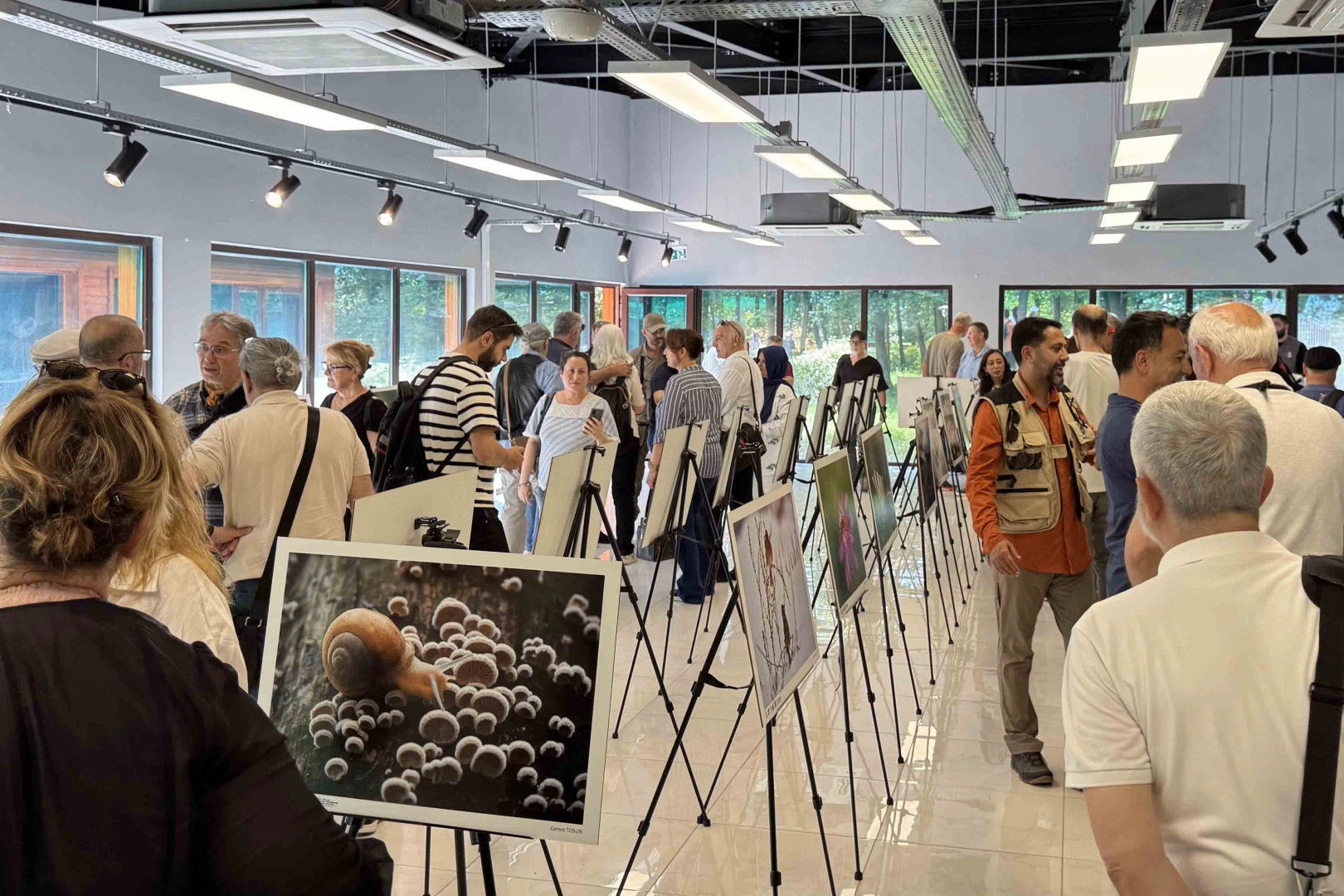 'Türkiye’nin Doğası' sergisi sanatseverlerle buluşuyor!